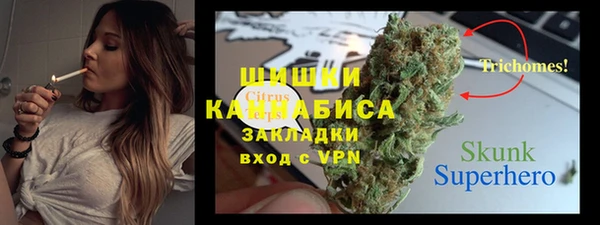 шишки Волосово