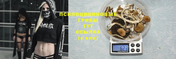 шишки Волосово