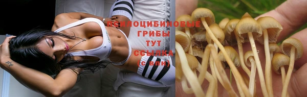 шишки Волосово