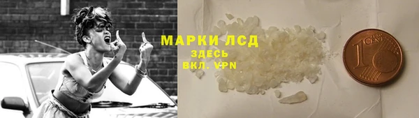 spice Вяземский